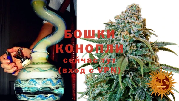 гидра Лагань