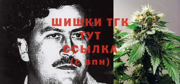 гидра Лагань