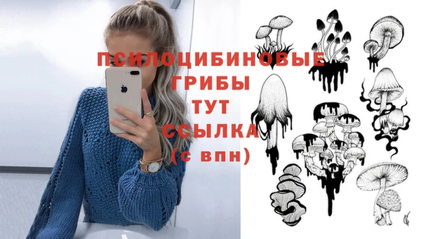 а пвп мука Лиски