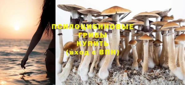 первитин Липки