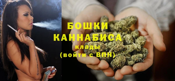гидра Лагань