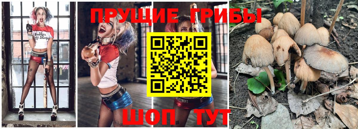 Псилоцибиновые грибы MAGIC MUSHROOMS  Вход с VPN  Нефтекумск 